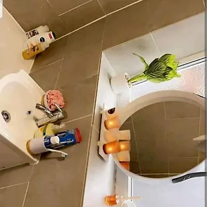 Cheerful 2 Bedroom House Apartment